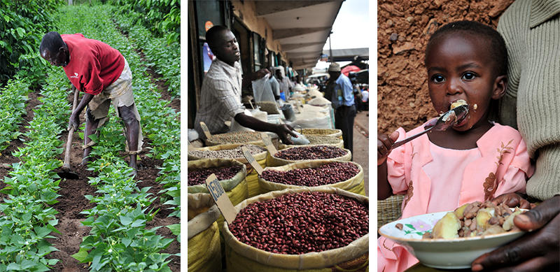 CIAT work on nutrition sensitive value chains in East Africa showcased at FAO in Rome