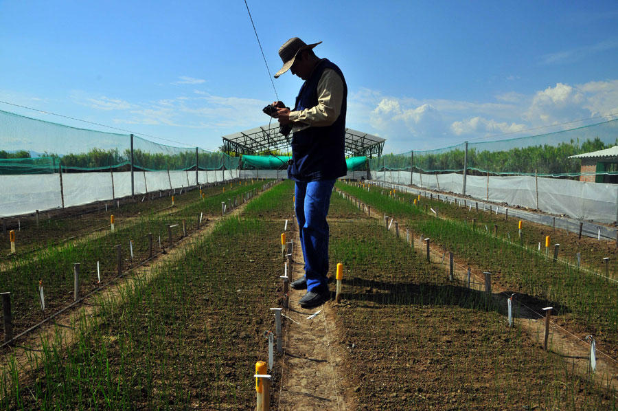 Sharing is caring – especially when it comes to agricultural data