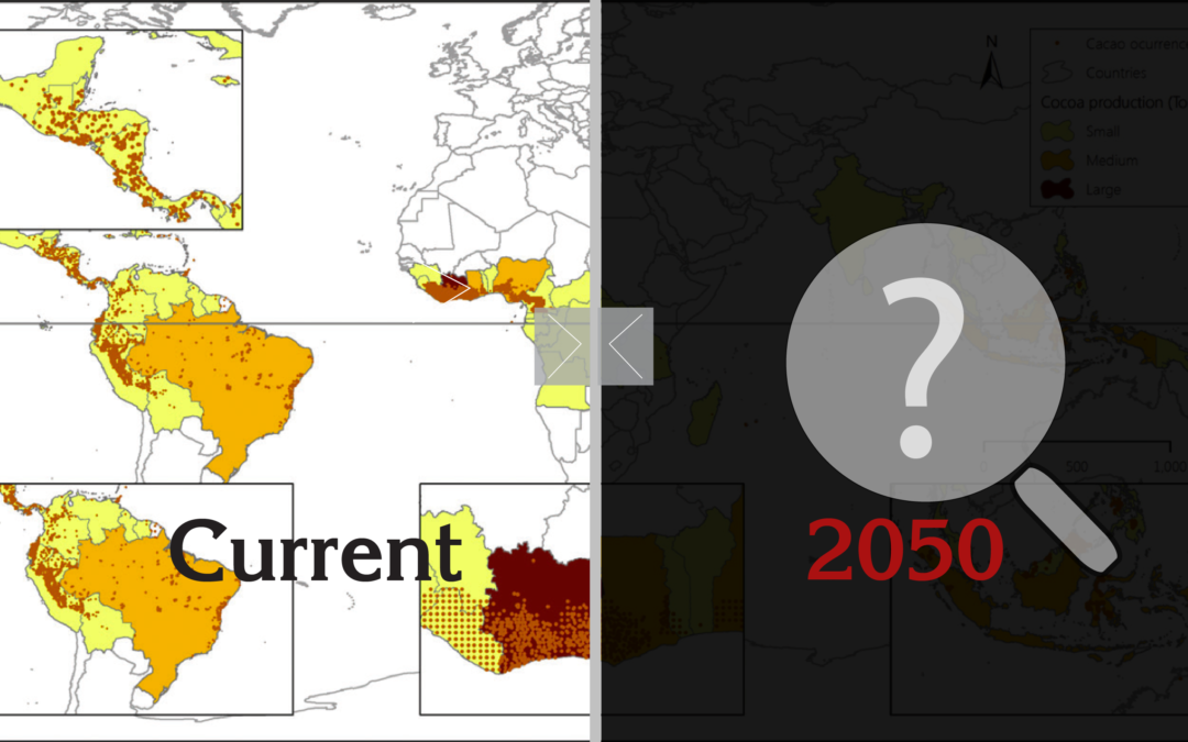 Preparing cocoa production for an unknown future