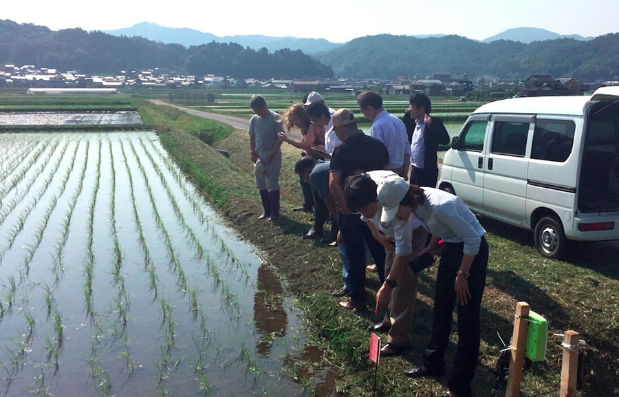 Proyecto colombo japonés, oportunidad para fortalecer al sector arrocero colombiano