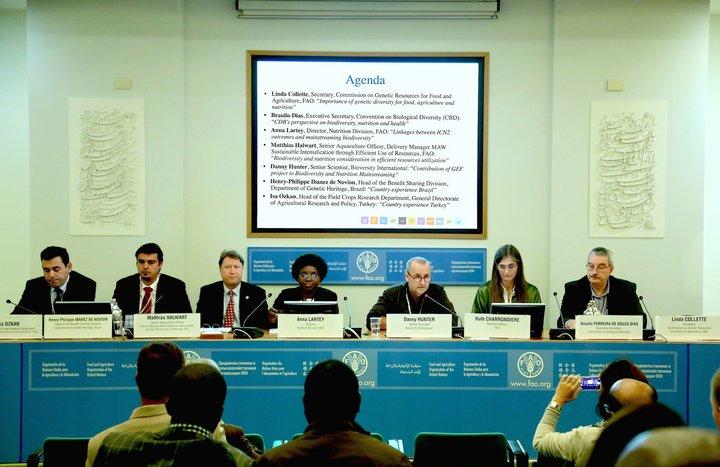 A step closer to mainstreaming biodiversity for improved nutrition and health
