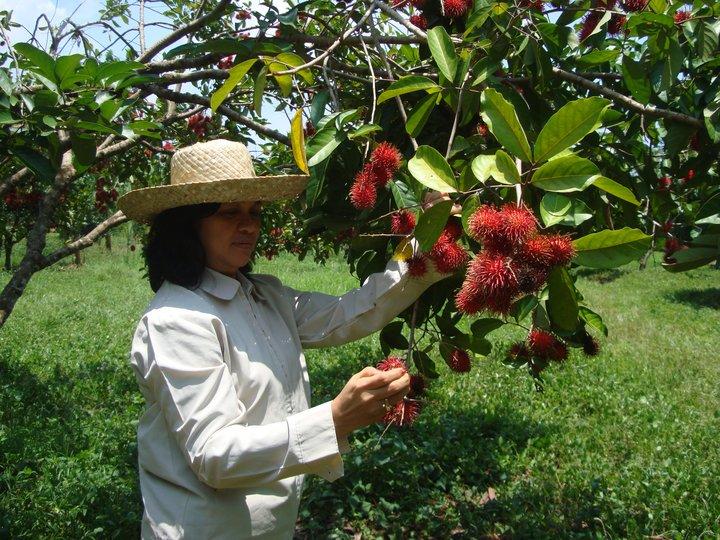 New publication reveals that farmers are the best source for conservation practices