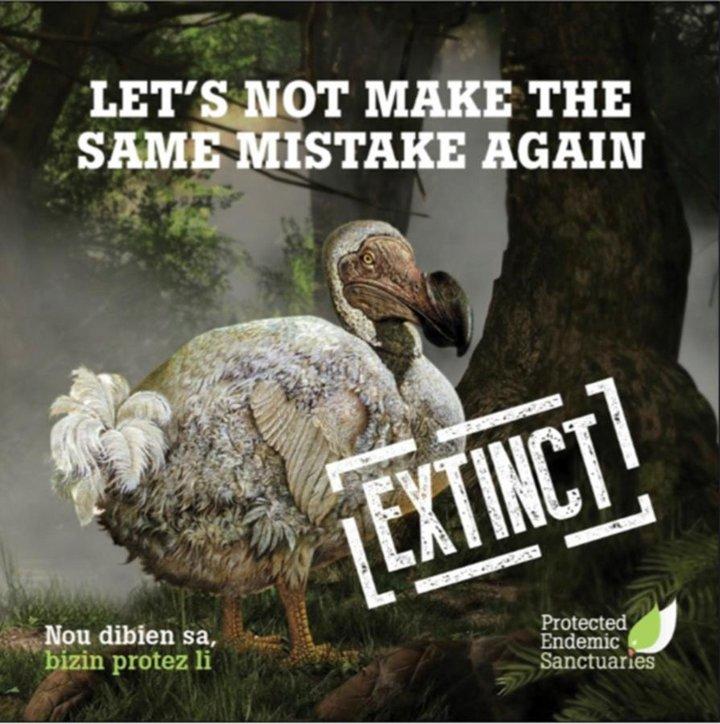 Crop wild relatives – are they going to end up like the dodo?