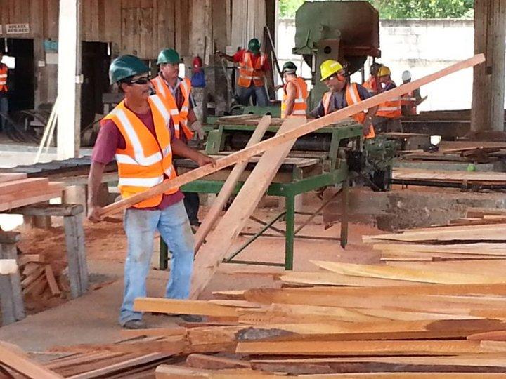 Community concessions bring newfound hope for forest conservation and socioeconomic development