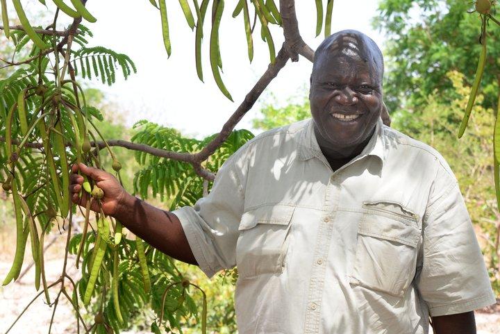 Why seeds for trees matter in ecosystem restoration efforts in Burkina Faso