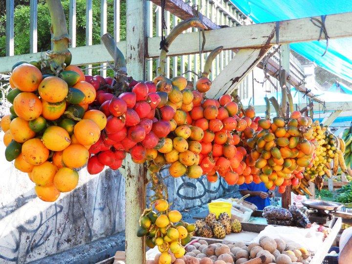 Putting biodiversity back on the menu in Brazil