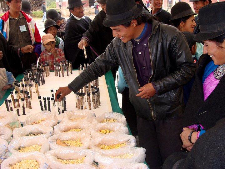 A fresh look at crop seeds for healthy diets