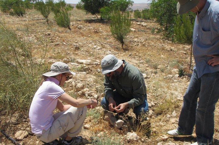 Historic seed samples to monitor genetic variation