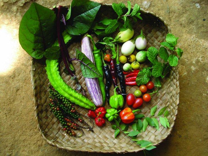 Dietary Species Richness, an important measure of a healthy diet