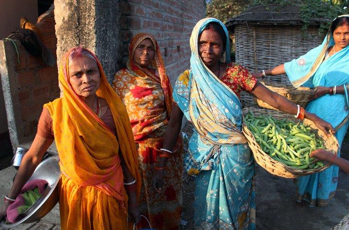 G7 leaders’ declaration on food security and nutrition