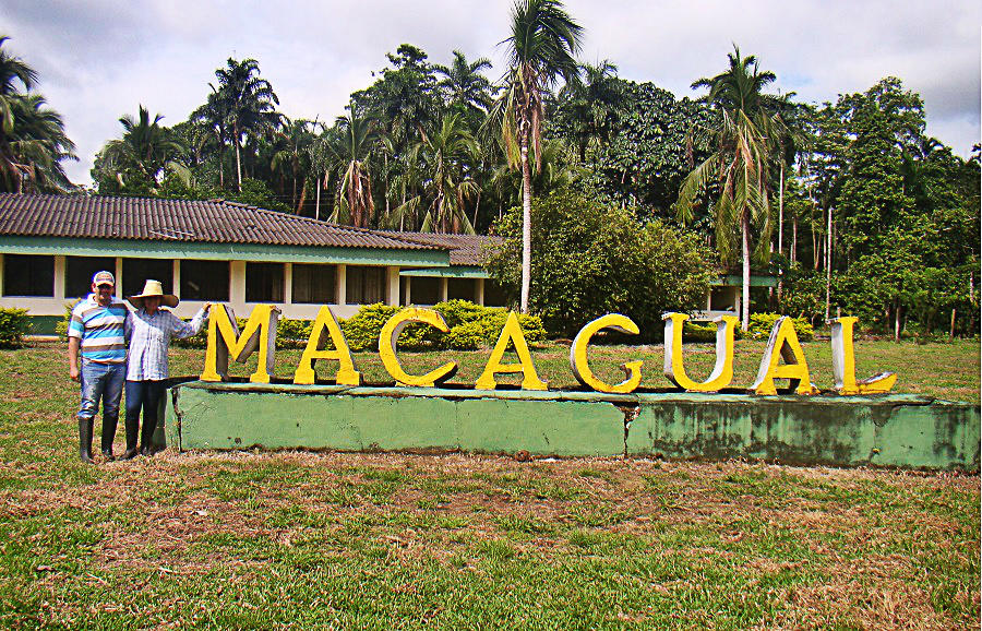 La academia y el CIAT, de la mano por una Amazonia sostenible