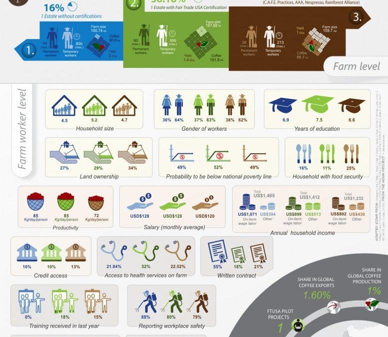 What is behind a cup of fair trade coffee