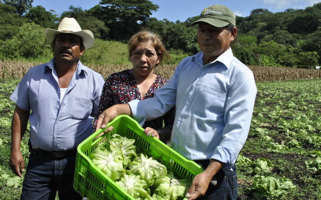 Promoting business models that benefit women and men farmers: CIAT pilots LINK methodology with gender lens