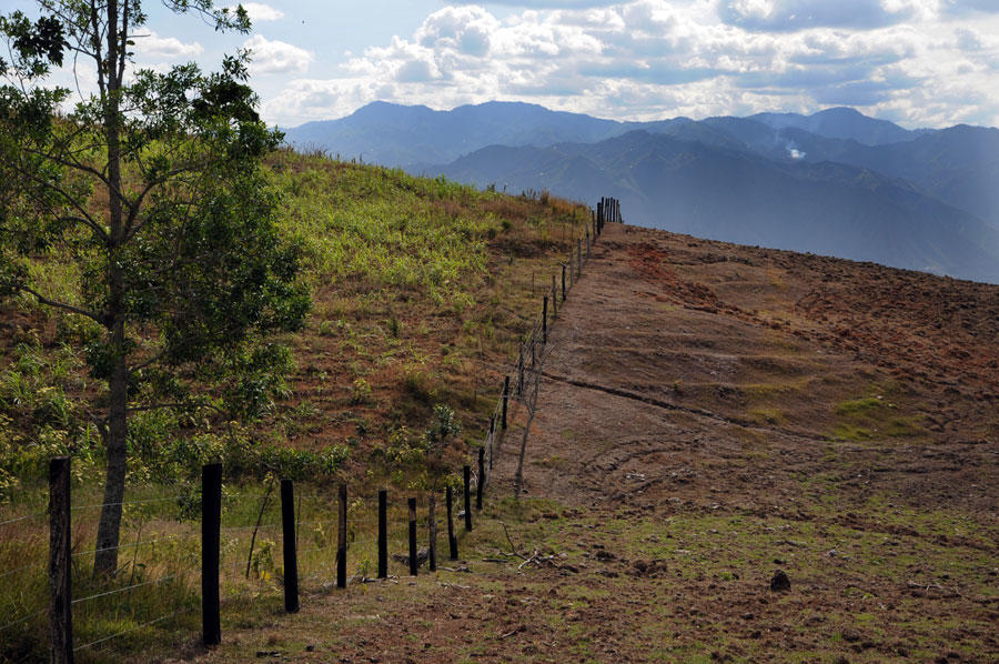 Se fortalece la alianza regional para recuperar tierras degradadas en América Latina