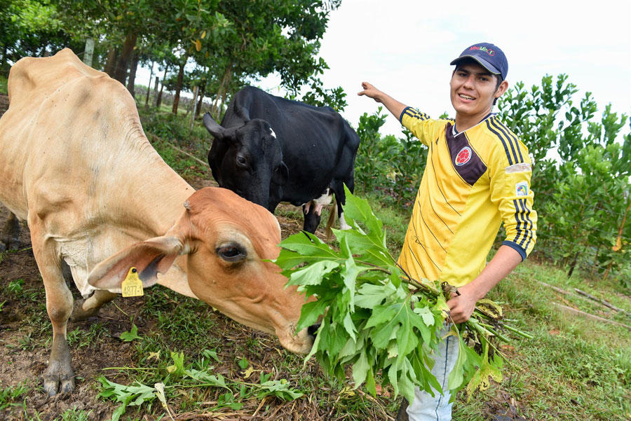 Misión del Reino Unido visitará Colombia en busca de socios potenciales para proyectos agrícolas innovadores