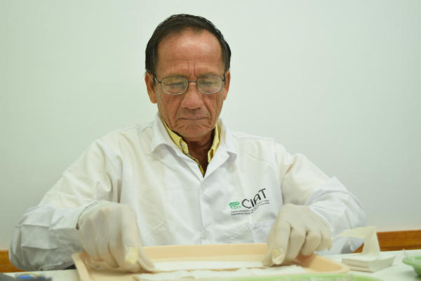 Haciendo lo extraordinario cotidiano