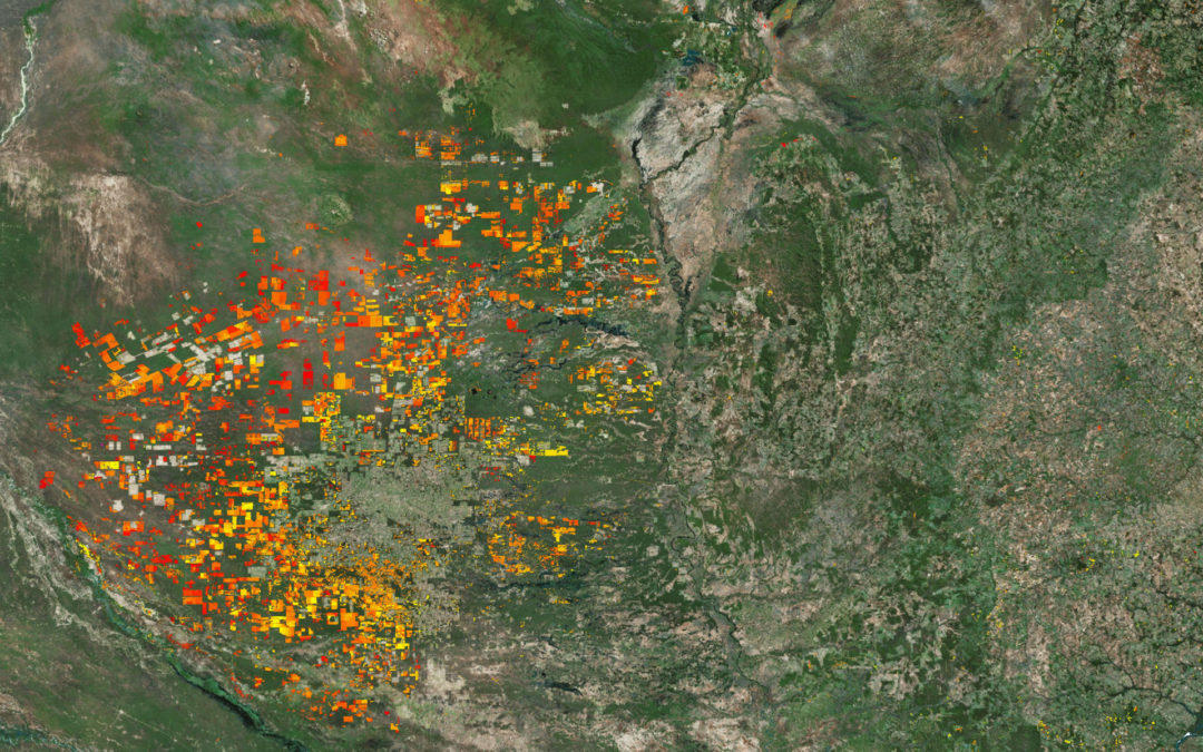 New study shows the value of natural habitat analysis on transportation infrastructure design and planning