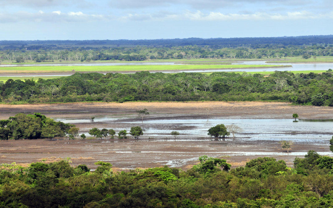 Proyecciones de clima para la Orinoquía a 2040