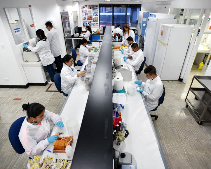 El Laboratorio de Sanidad de Germoplasma del CIAT recibió Registro Calificado