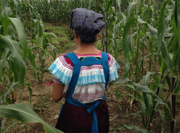 Student perspectives from the field: Talking about the weather in Chiapas, Mexico