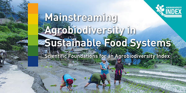 New Study Reveals Agrobiodiversity Investments as Triple Win for Health, Environment and Food System Sustainability