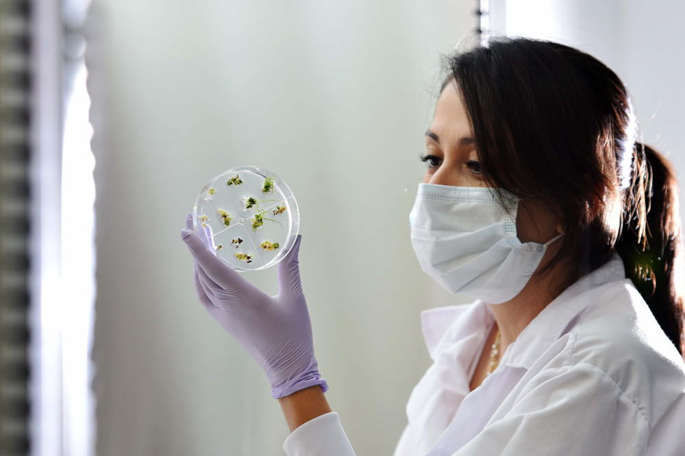 Genome Editing: As Easy, Useful, and Safe as it Sounds?