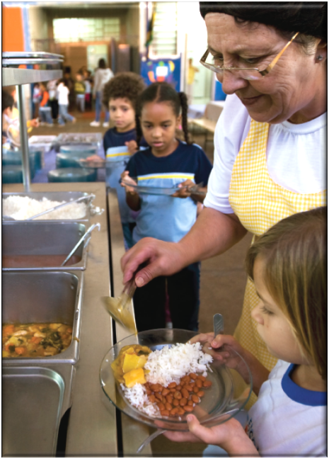 Mainstreaming biodiversity for nutrition in Brazil