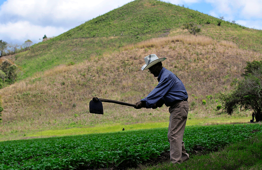 ¿Cómo están y hacia dónde van las políticas públicas para el desarrollo rural en América Latina?