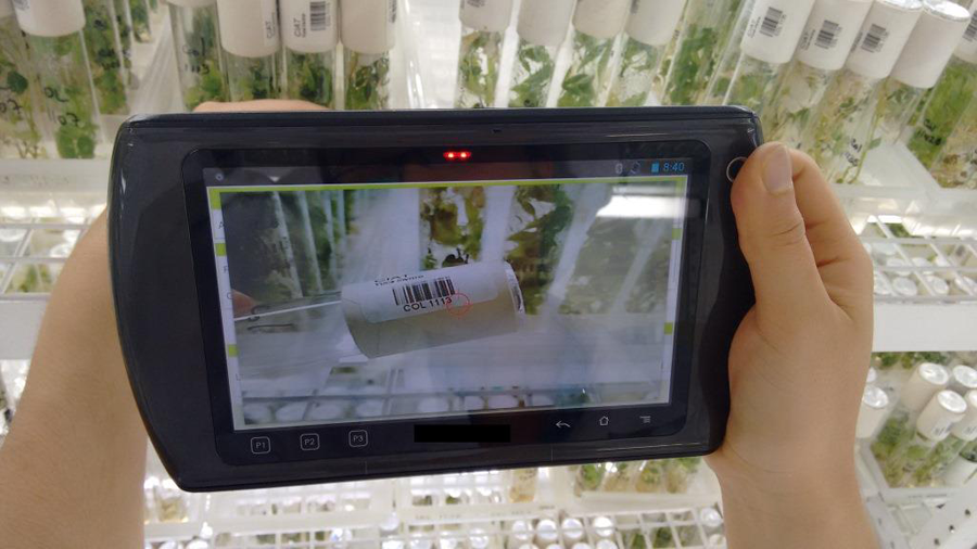 Corpoica and CIAT: committed to developing a better seed collection management system