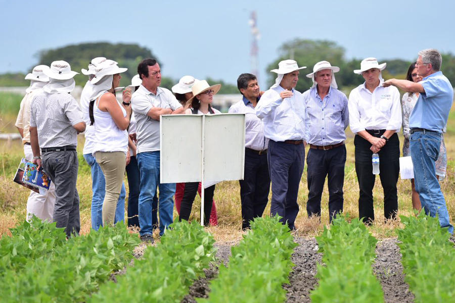 El Gobierno no quiere que los agricultores cultiven productos de moda, sino bien investigados: Rafael Pardo