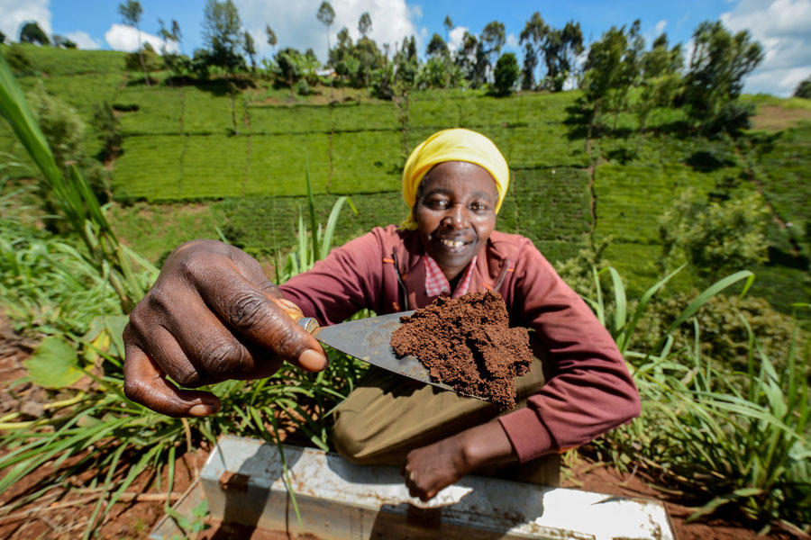 Sink more carbon in the soil? It’s not that easy