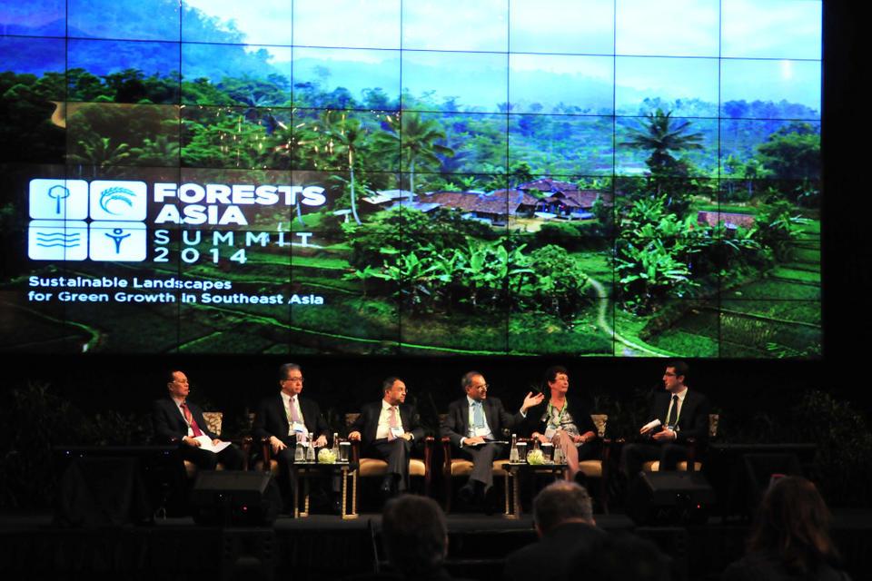 An eye on deforestation: Terra-i goes to Asia
