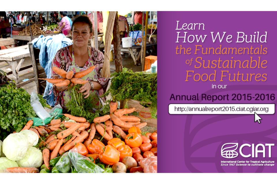 CIAT Annual Report 2015-2016 is out!