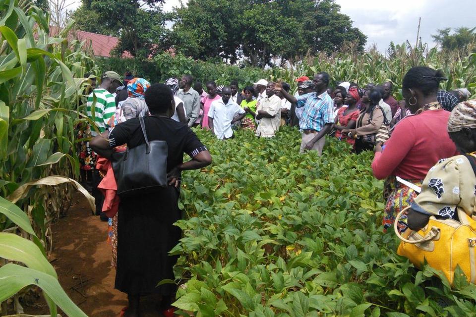 Seeing is believing: the impact of soil management