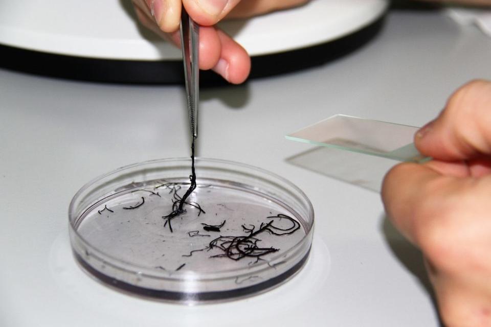 New microbial biotechnology platform launched in Vietnam