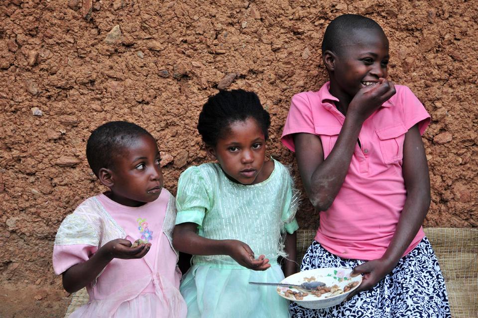 Announcing a new Value Chains for Nutrition project for 2016-2018