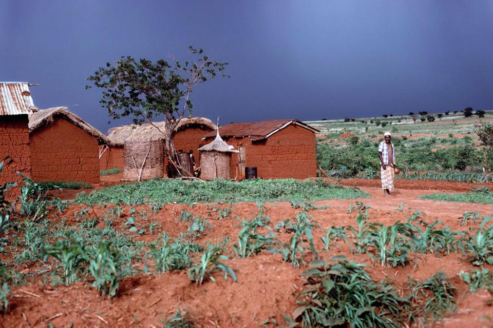 How to move beyond technology in 'sustainable intensification'