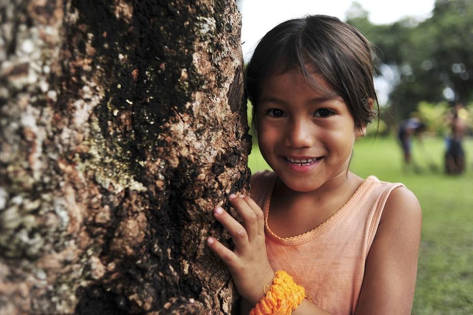 REDD+ as a peacebuilding strategy: what are the opportunities for sustainable food production?