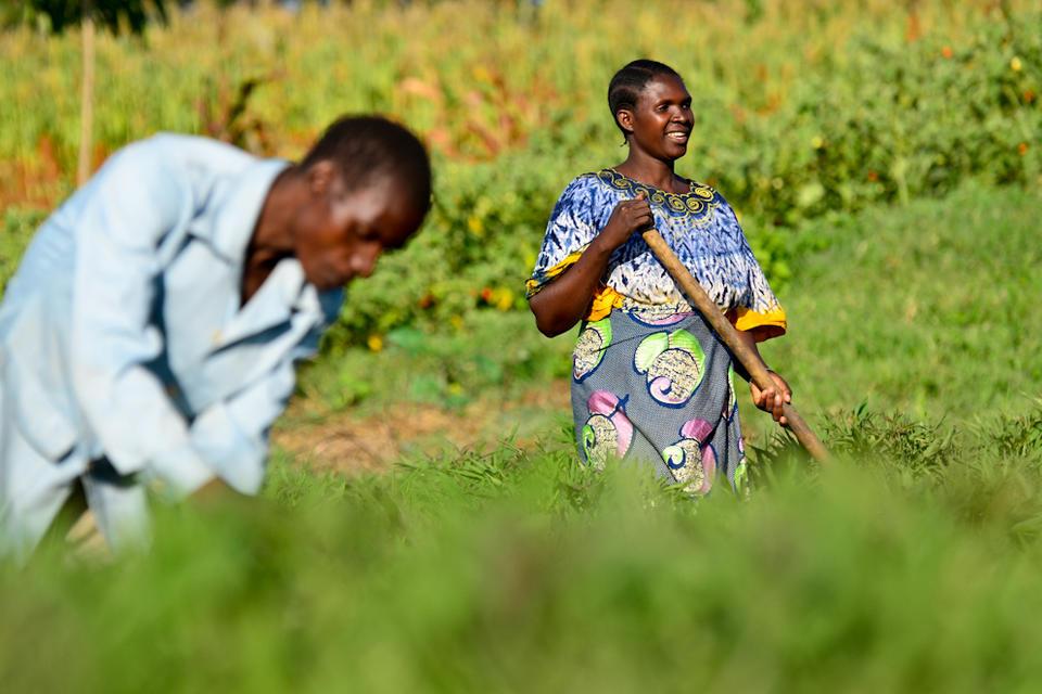 CIAT to coordinate communications, knowledge sharing and information & data management of the CGIAR Gender and Agriculture Research Network