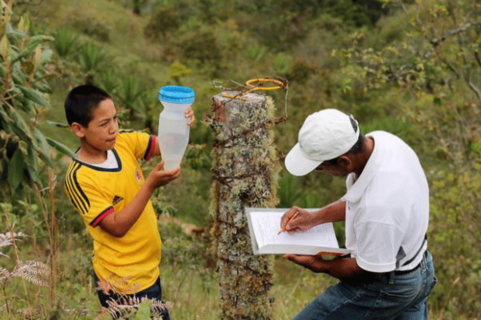 Taller sobre oportunidades de Agricultura Climáticamente Inteligente para Belice