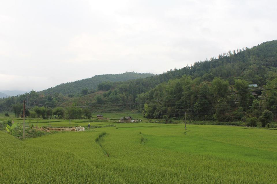Characterizing agrobiodiversity in one valley: Worlds of two ethnic minority communities, at different scales: An intern perspective