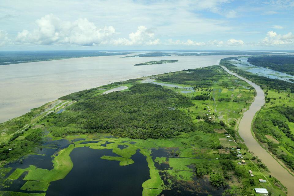 Opinion: We can do better to achieve zero deforestation and low-carbon development | Devex