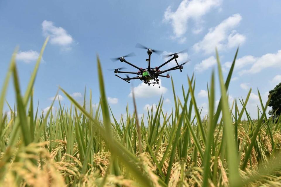 The disruption starts now: new big data program promises to shake up agriculture