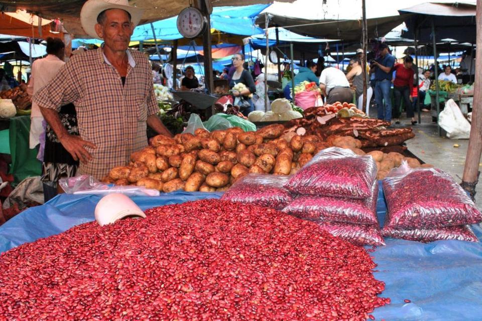 ¿Qué pueden aprender Cali, Quito y Medellín de sus sistemas alimentarios?
