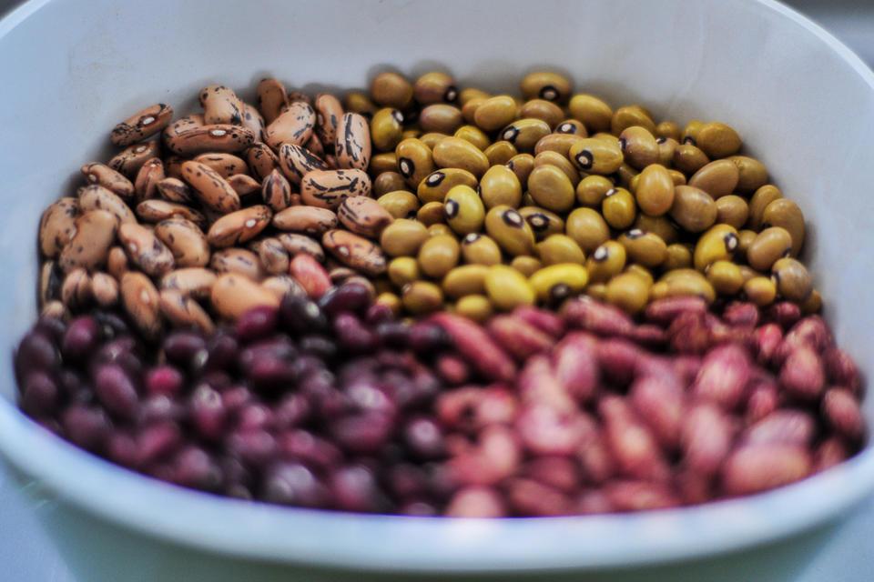 The business of quick-cook beans