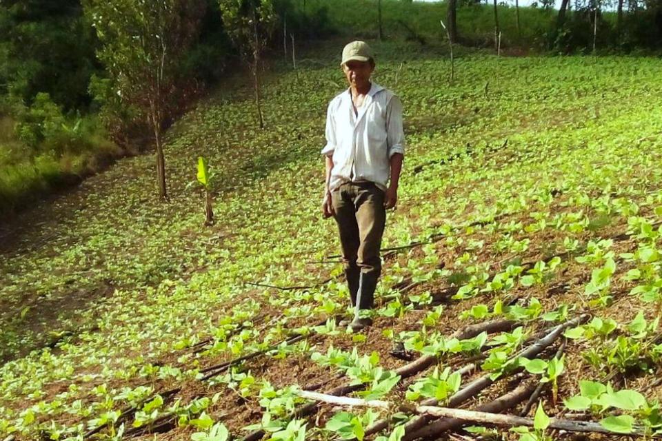 CIAT y HarvestPlus llevan frijol con alto contenido de hierro por primera vez a Waslala, Nicaragua