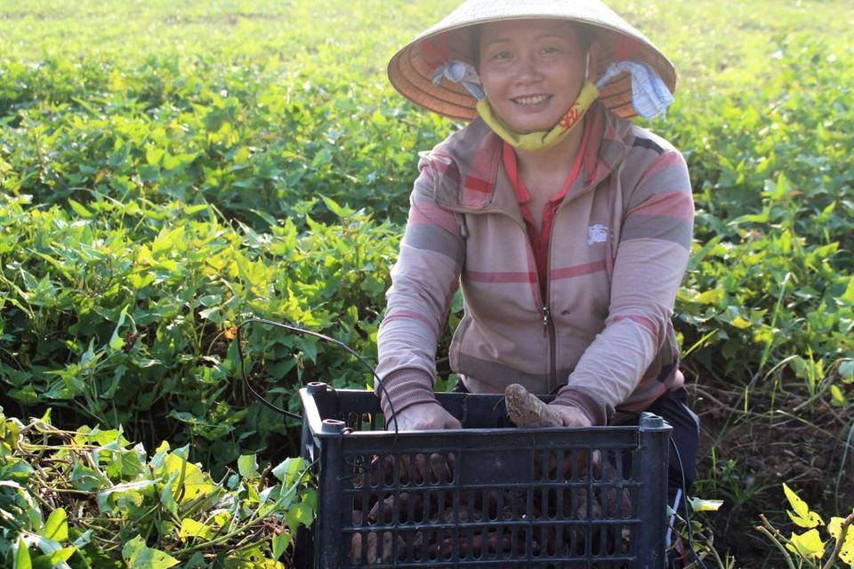 Hoan and sweetpotato: a sweet, budding love affair