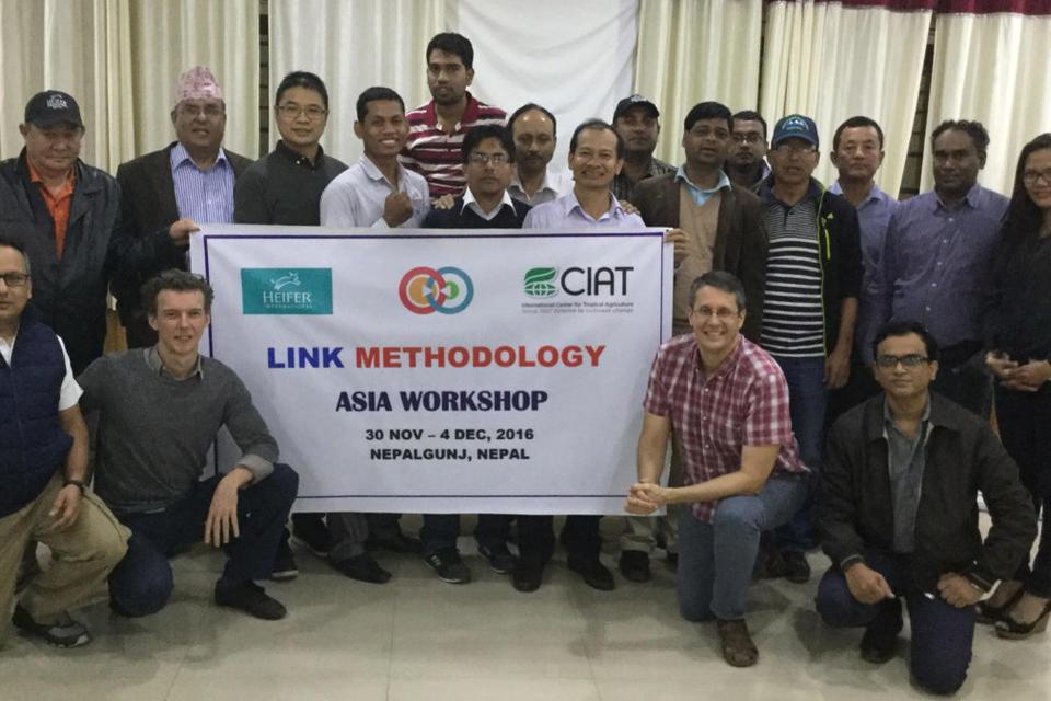 Anchoring LINK in Asia