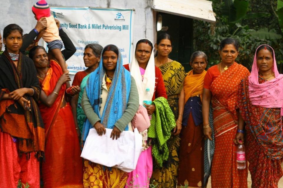 Making millets matter in Madhya Pradesh