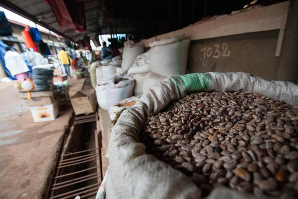 Co-operative leadership in Uganda